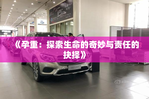 《孕重：探索生命的奇妙与责任的抉择》