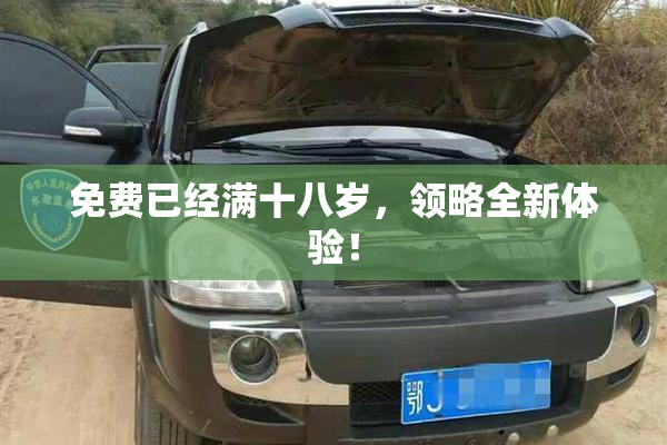 免费已经满十八岁，领略全新体验！