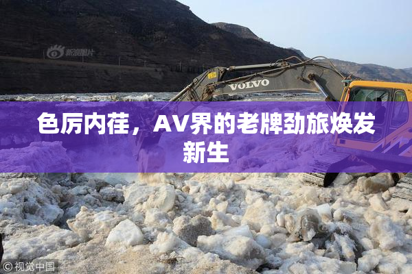 色厉内荏，AV界的老牌劲旅焕发新生