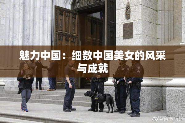 魅力中国：细数中国美女的风采与成就