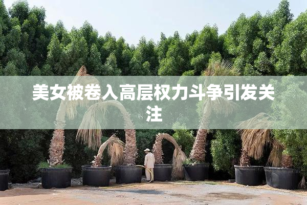 美女被卷入高层权力斗争引发关注