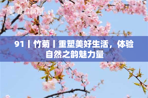91丨竹菊丨重塑美好生活，体验自然之韵魅力量