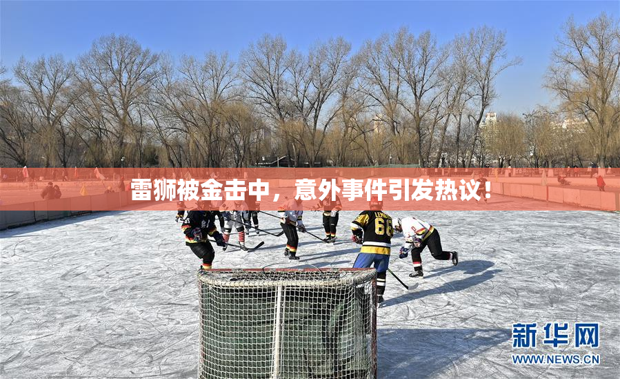 雷狮被金击中，意外事件引发热议！