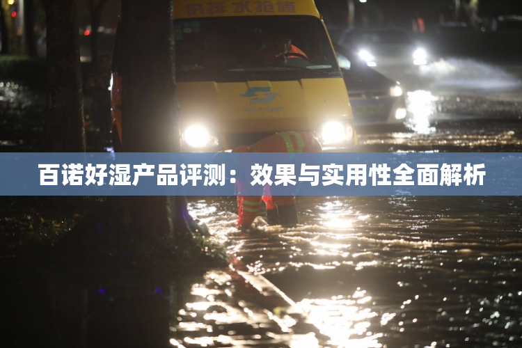 百诺好湿产品评测：效果与实用性全面解析