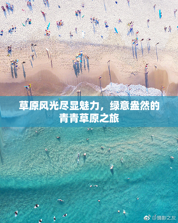 草原风光尽显魅力，绿意盎然的青青草原之旅