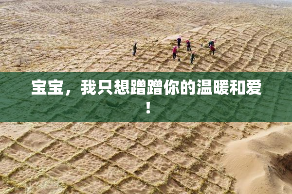 宝宝，我只想蹭蹭你的温暖和爱！