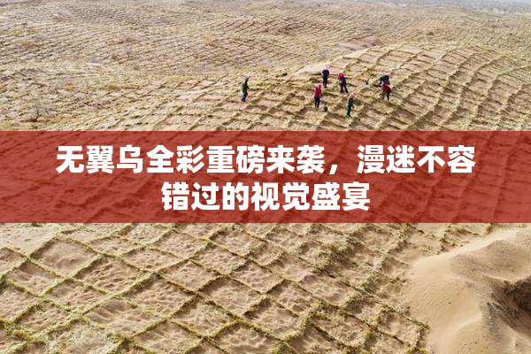 无翼乌全彩重磅来袭，漫迷不容错过的视觉盛宴