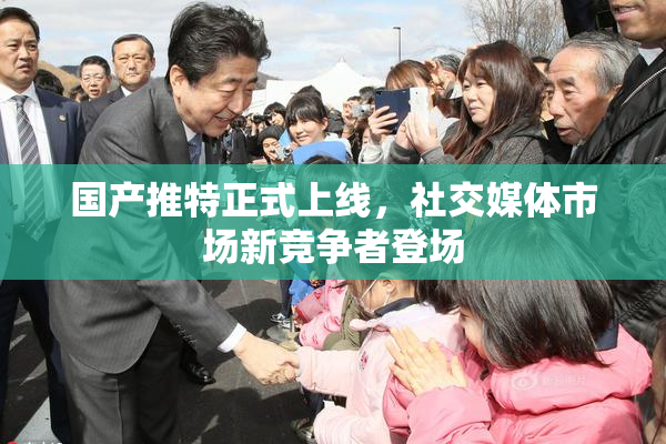 国产推特正式上线，社交媒体市场新竞争者登场