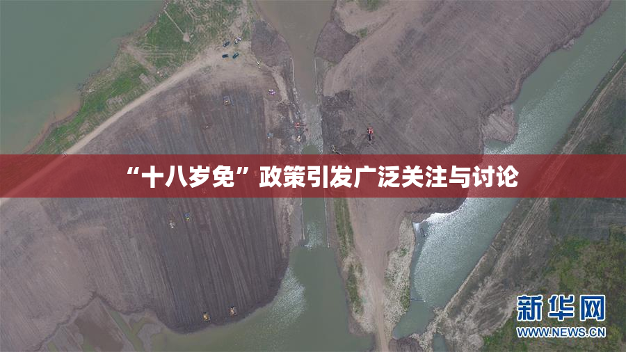 “十八岁免”政策引发广泛关注与讨论