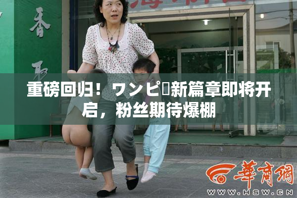重磅回归！ワンピー新篇章即将开启，粉丝期待爆棚