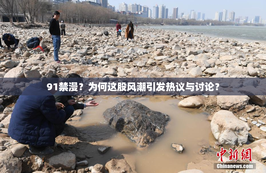 91禁漫？为何这股风潮引发热议与讨论？