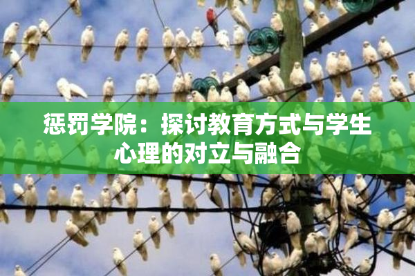 惩罚学院：探讨教育方式与学生心理的对立与融合