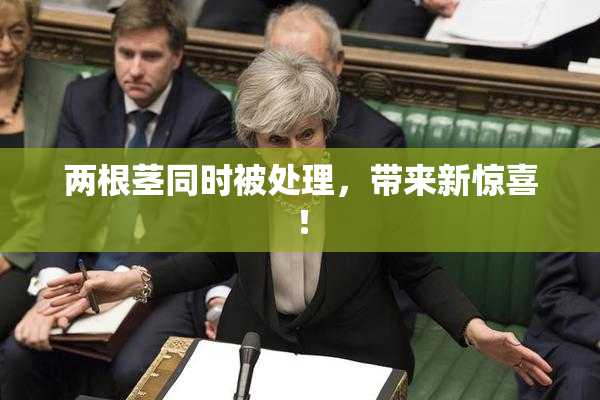 两根茎同时被处理，带来新惊喜！