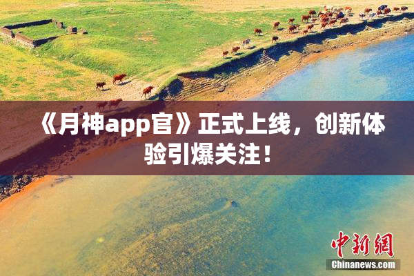 《月神app官》正式上线，创新体验引爆关注！