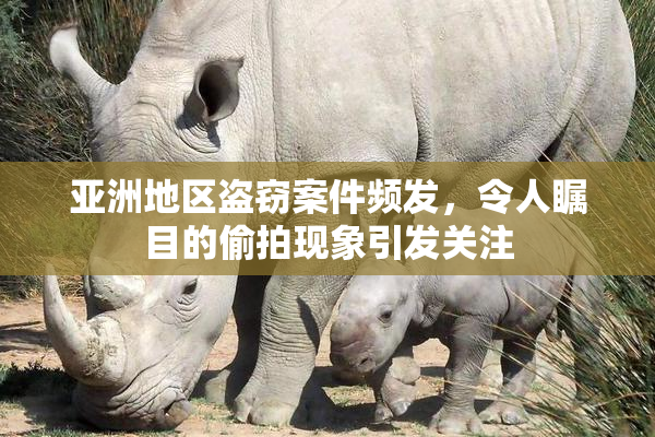 亚洲地区盗窃案件频发，令人瞩目的偷拍现象引发关注