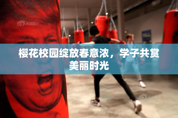 樱花校园绽放春意浓，学子共赏美丽时光