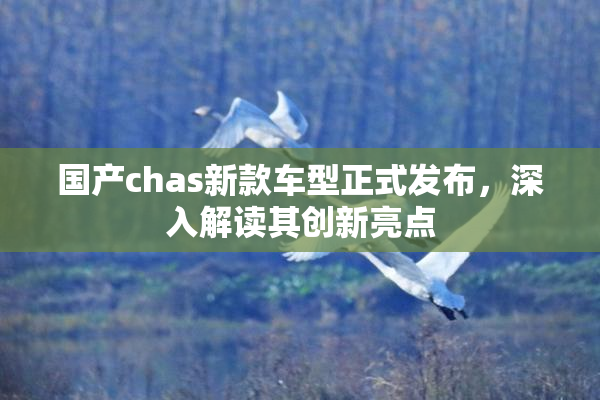 国产chas新款车型正式发布，深入解读其创新亮点
