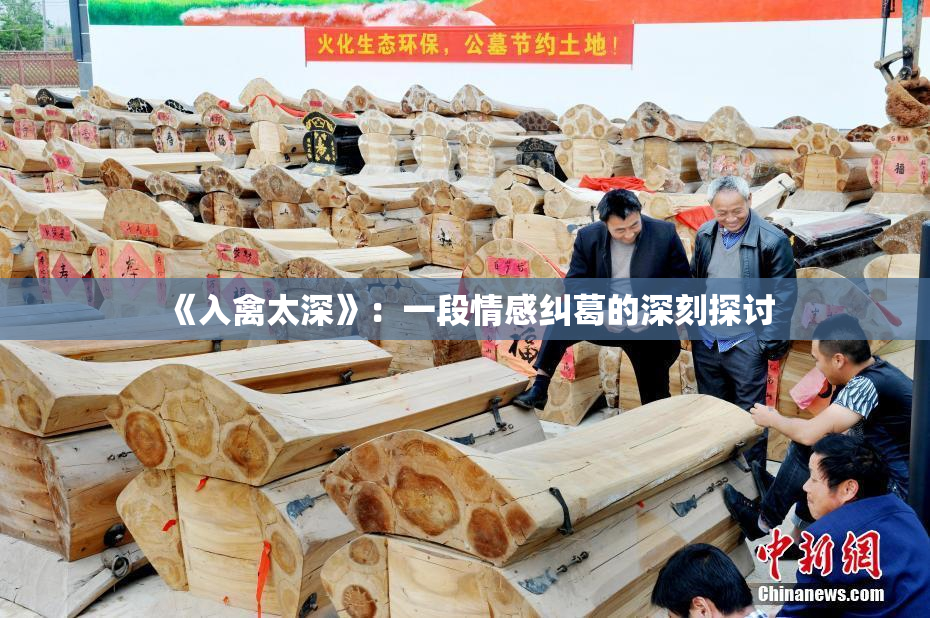 《入禽太深》：一段情感纠葛的深刻探讨