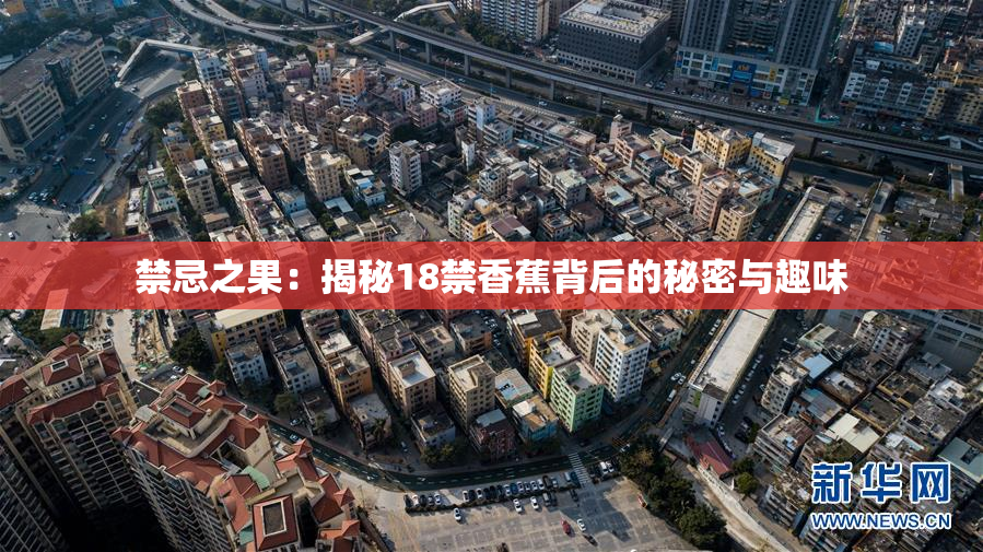 禁忌之果：揭秘18禁香蕉背后的秘密与趣味