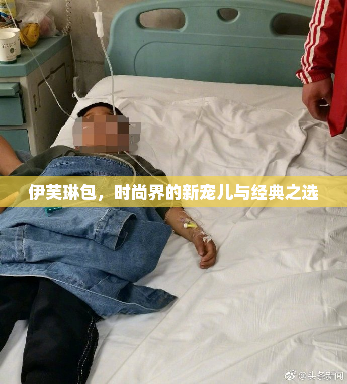 伊芙琳包，时尚界的新宠儿与经典之选