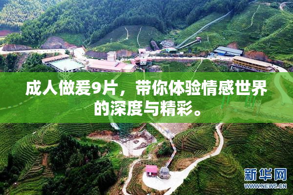 成人做爰9片，带你体验情感世界的深度与精彩。