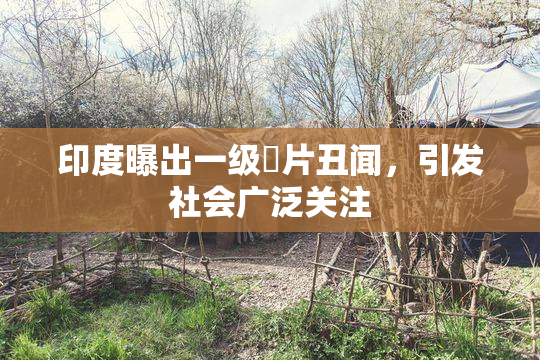 印度曝出一级婬片丑闻，引发社会广泛关注