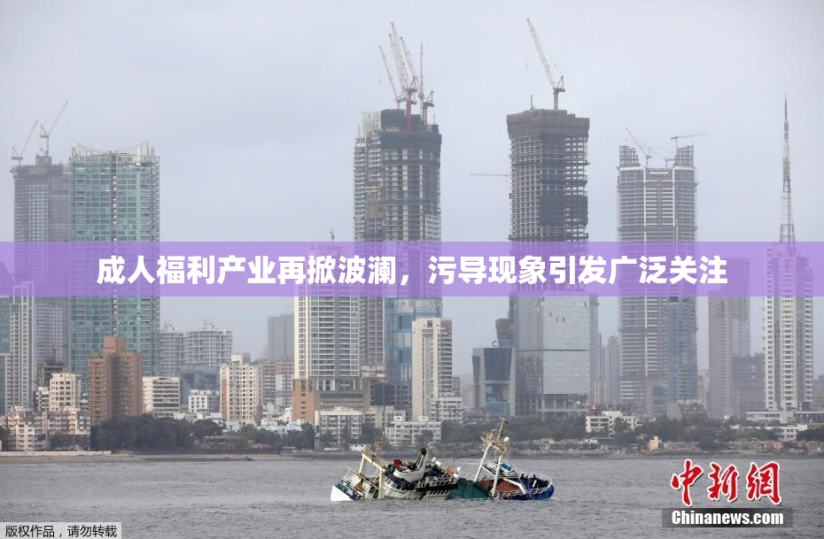 成人福利产业再掀波澜，污导现象引发广泛关注
