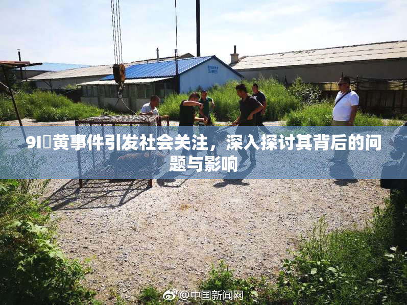 9I婬黄事件引发社会关注，深入探讨其背后的问题与影响
