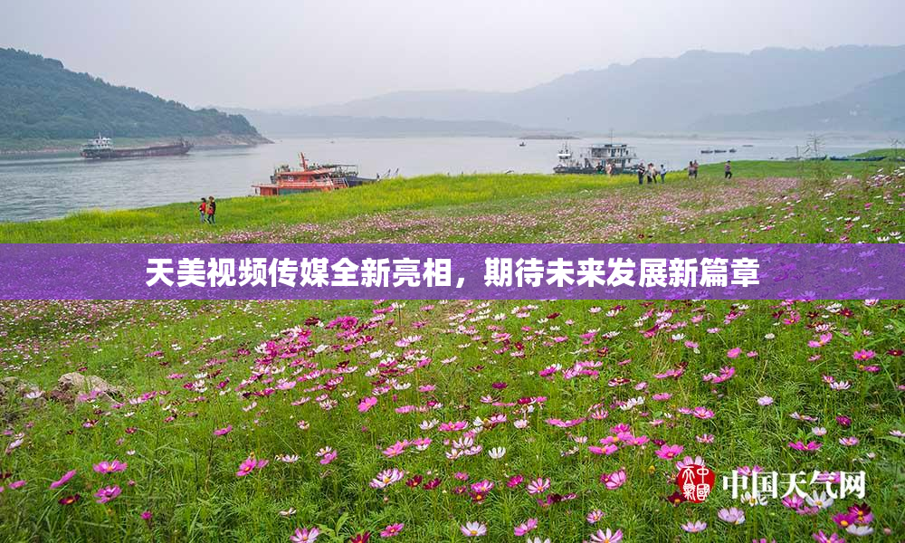 天美视频传媒全新亮相，期待未来发展新篇章