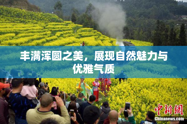 丰满浑圆之美，展现自然魅力与优雅气质