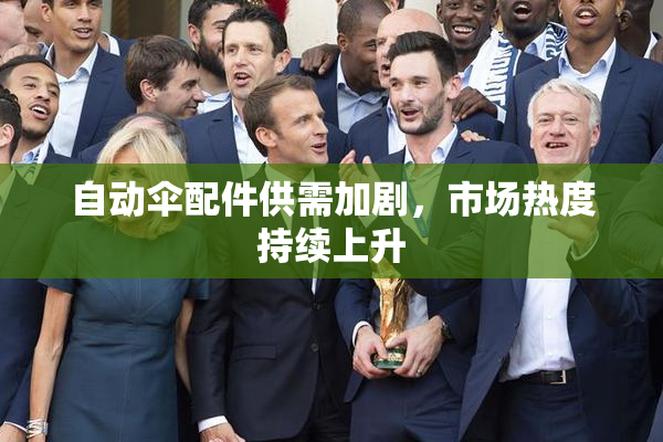 自动伞配件供需加剧，市场热度持续上升