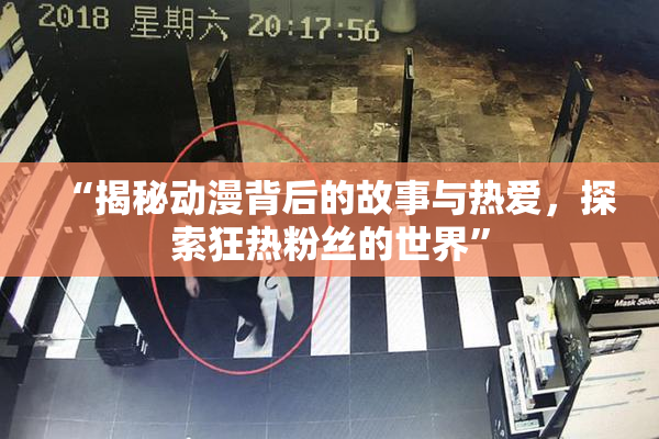 “揭秘动漫背后的故事与热爱，探索狂热粉丝的世界”