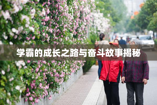学霸的成长之路与奋斗故事揭秘
