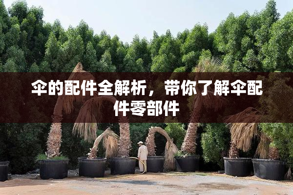 伞的配件全解析，带你了解伞配件零部件