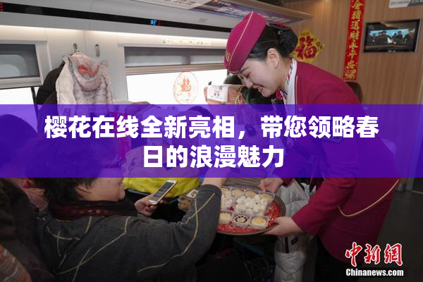 樱花在线全新亮相，带您领略春日的浪漫魅力