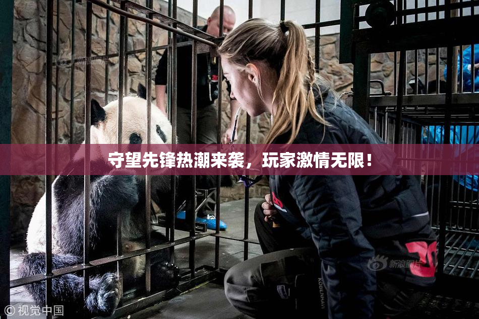 守望先锋热潮来袭，玩家激情无限！