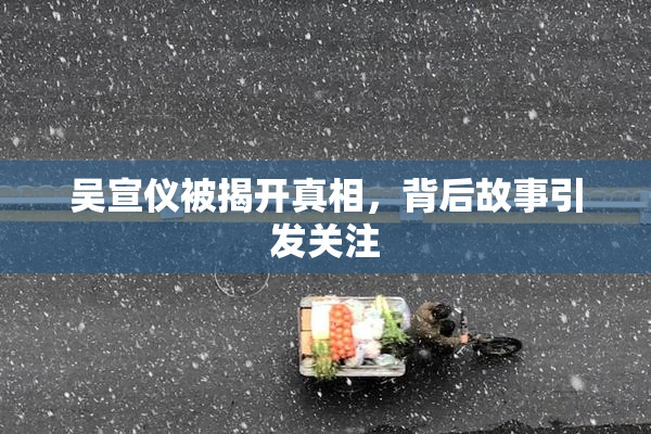 吴宣仪被揭开真相，背后故事引发关注