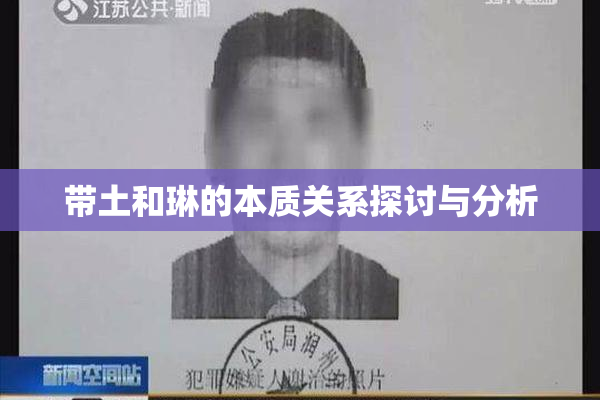 带土和琳的本质关系探讨与分析