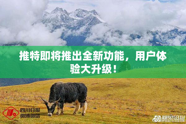 推特即将推出全新功能，用户体验大升级！