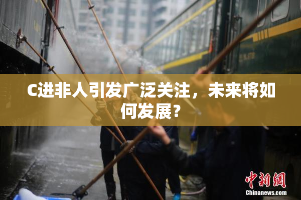 C进非人引发广泛关注，未来将如何发展？