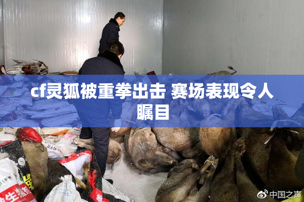 cf灵狐被重拳出击 赛场表现令人瞩目