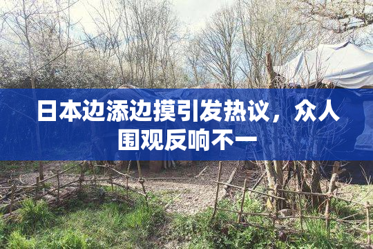 日本边添边摸引发热议，众人围观反响不一
