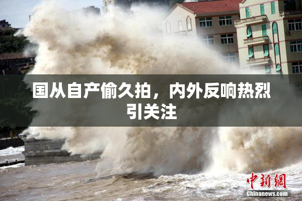 国从自产偷久拍，内外反响热烈引关注