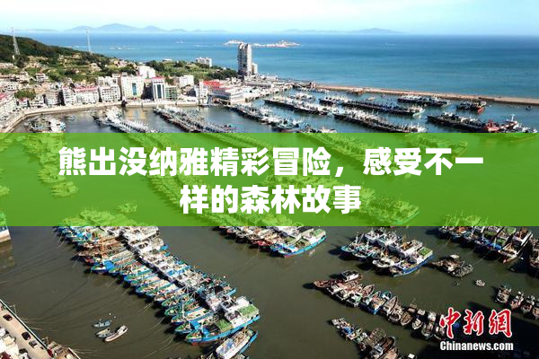熊出没纳雅精彩冒险，感受不一样的森林故事
