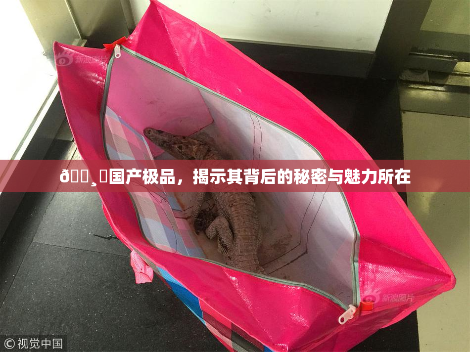 🌸‌国产极品，揭示其背后的秘密与魅力所在