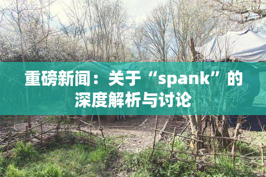 重磅新闻：关于“spank”的深度解析与讨论
