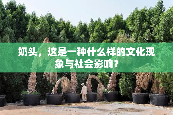 奶头，这是一种什么样的文化现象与社会影响？