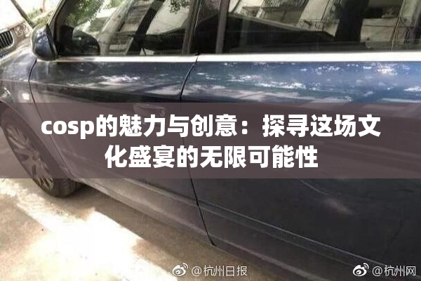 cosp的魅力与创意：探寻这场文化盛宴的无限可能性