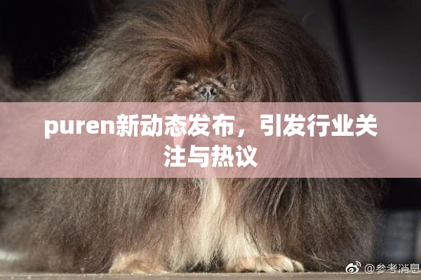 puren新动态发布，引发行业关注与热议