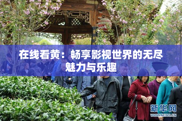 在线看黄：畅享影视世界的无尽魅力与乐趣